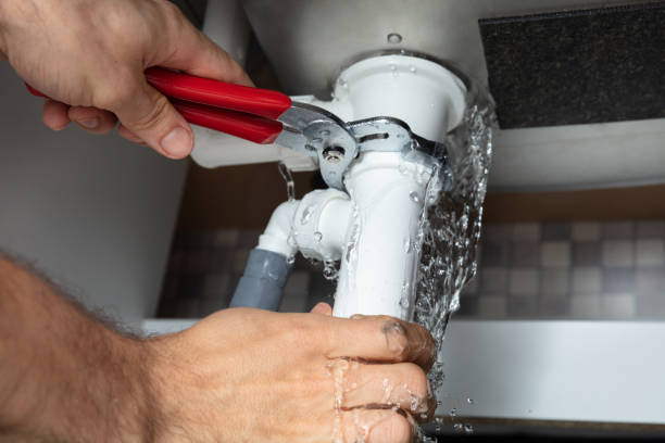 Best Flood restoration services  in St Stephen, SC