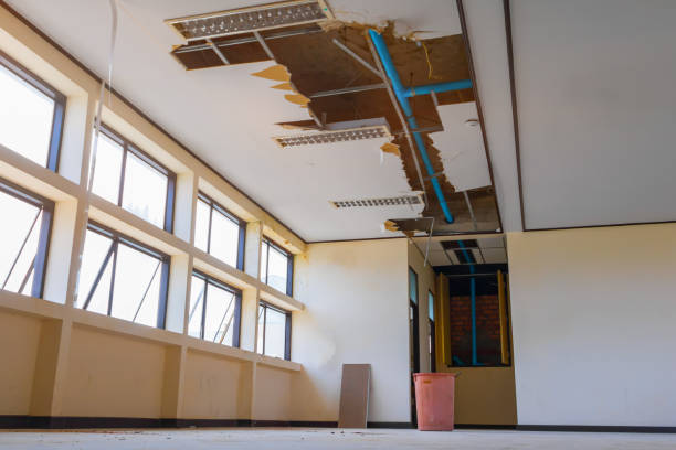 Best Basement water damage restoration  in St Stephen, SC