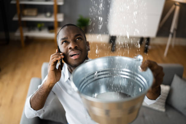 Carpet water damage restoration in SC