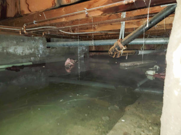 Best Fire Damage Restoration  in St Stephen, SC
