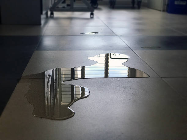 Best Commercial water damage restoration  in St Stephen, SC