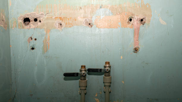 Best Fire Damage Restoration  in St Stephen, SC